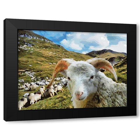 Sheep and Goat Collection I Black Modern Wood Framed Art Print by Medeiros, Celito
