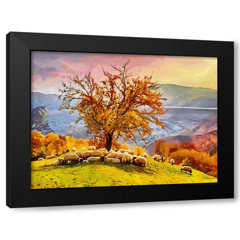 Sheep and Goat Collection III Black Modern Wood Framed Art Print by Medeiros, Celito