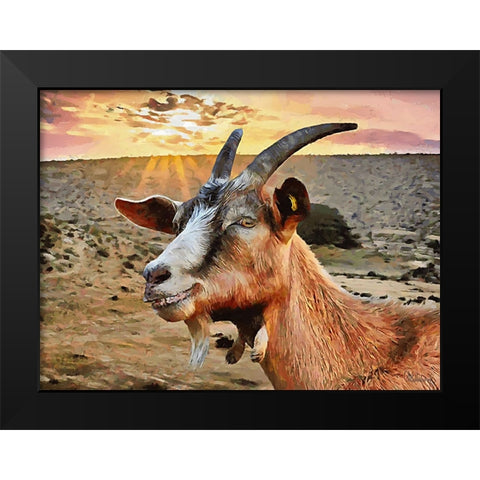 Sheep and Goat Collection IV Black Modern Wood Framed Art Print by Medeiros, Celito