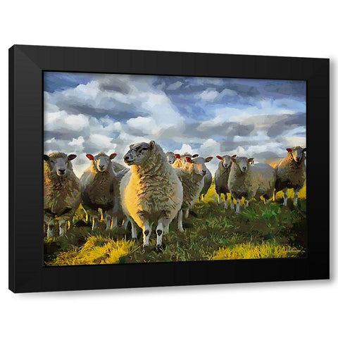 Sheep and Goat Collection V Black Modern Wood Framed Art Print by Medeiros, Celito