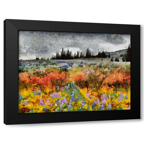 Colorful Meadow with Black and White Sky Black Modern Wood Framed Art Print with Double Matting by Medeiros, Celito