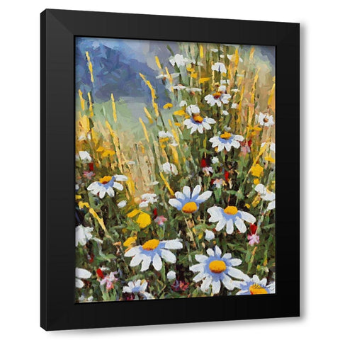 Many White Daisies II Black Modern Wood Framed Art Print by Medeiros, Celito