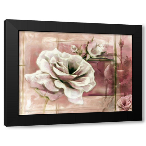 Rose with Pink Background Black Modern Wood Framed Art Print by Medeiros, Celito