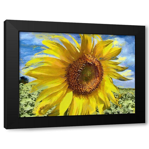 An Sunflowers Black Modern Wood Framed Art Print with Double Matting by Medeiros, Celito