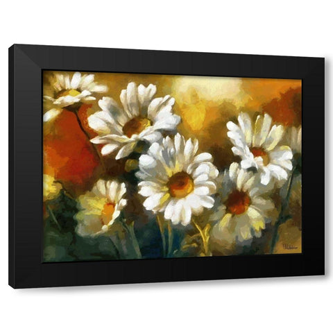 Daisies Black Modern Wood Framed Art Print with Double Matting by Medeiros, Celito