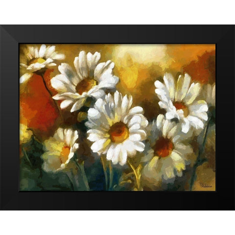 Daisies Black Modern Wood Framed Art Print by Medeiros, Celito