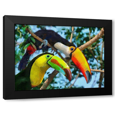 Two Tucans Black Modern Wood Framed Art Print with Double Matting by Medeiros, Celito