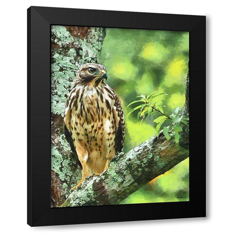 Falcon Black Modern Wood Framed Art Print by Medeiros, Celito