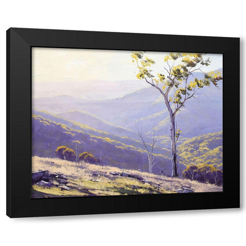 Afternoon Light Baathurst Black Modern Wood Framed Art Print with Double Matting by Gercken, Graham