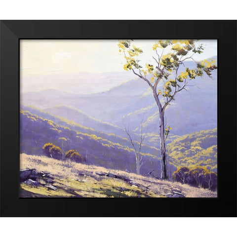Afternoon Light Baathurst Black Modern Wood Framed Art Print by Gercken, Graham