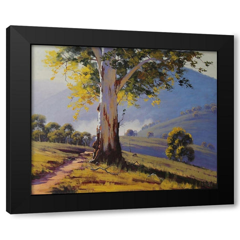 Tumut Hills Gum Tree Black Modern Wood Framed Art Print with Double Matting by Gercken, Graham