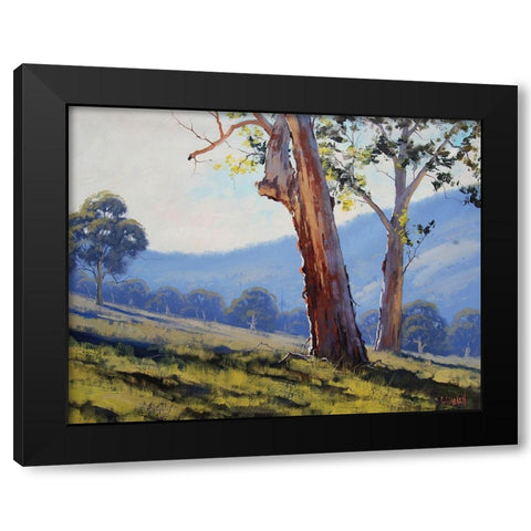 Tumut Gum Trees Black Modern Wood Framed Art Print with Double Matting by Gercken, Graham