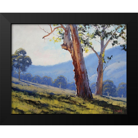 Tumut Gum Trees Black Modern Wood Framed Art Print by Gercken, Graham