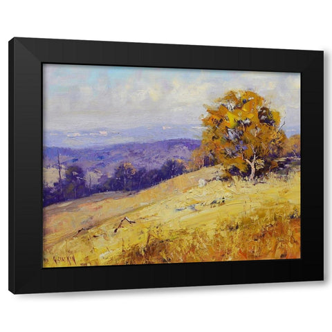 Sheep Grazing Australia Black Modern Wood Framed Art Print by Gercken, Graham