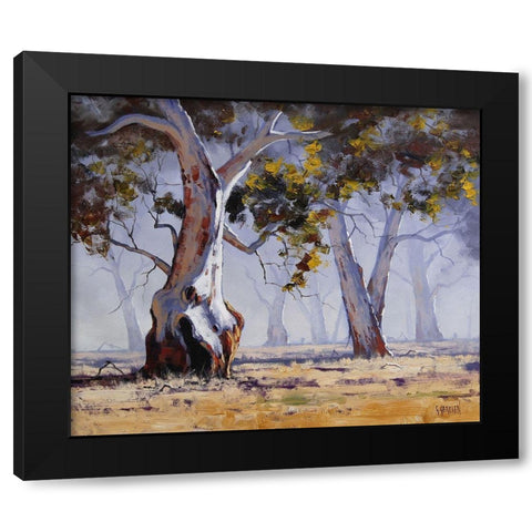 MÃ­sty Gums Australia Black Modern Wood Framed Art Print with Double Matting by Gercken, Graham