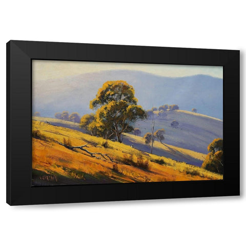 Megalong Morning Light Australia Black Modern Wood Framed Art Print with Double Matting by Gercken, Graham