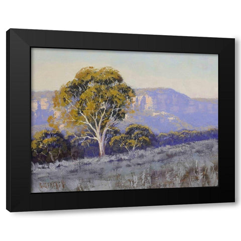 Mountain Gum Trees Black Modern Wood Framed Art Print with Double Matting by Gercken, Graham