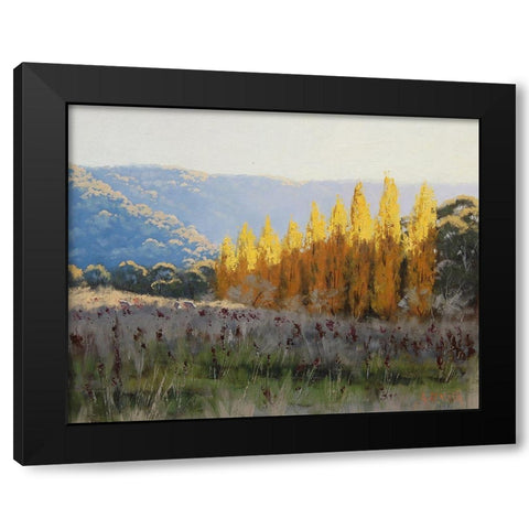 Popular Trees Black Modern Wood Framed Art Print with Double Matting by Gercken, Graham