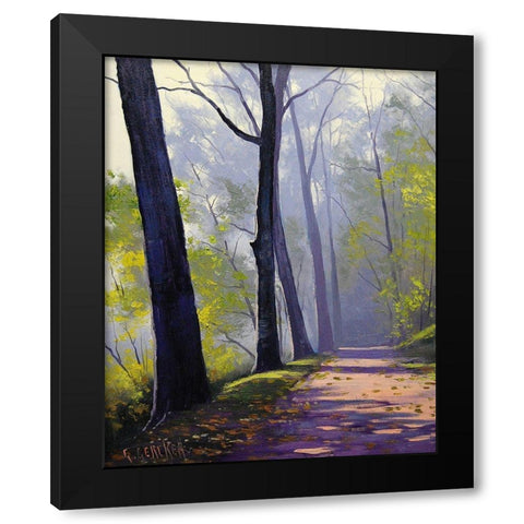 Forest Trail Black Modern Wood Framed Art Print with Double Matting by Gercken, Graham