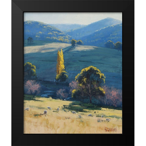Tarama Sheep Farm Australia Black Modern Wood Framed Art Print by Gercken, Graham