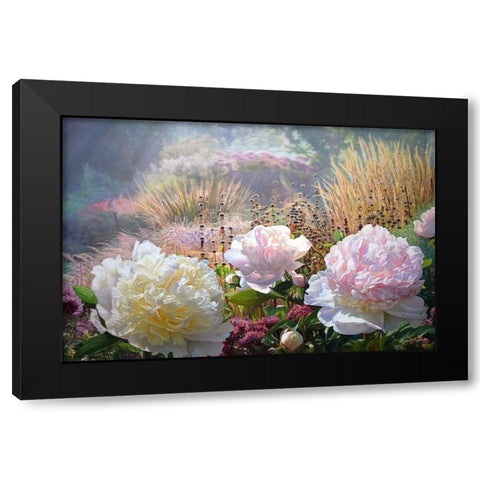 Three Peonies Black Modern Wood Framed Art Print by Kopania, Zbigniew