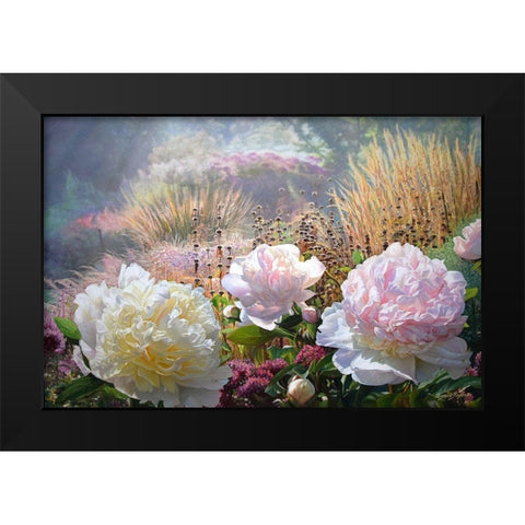 Three Peonies Black Modern Wood Framed Art Print by Kopania, Zbigniew