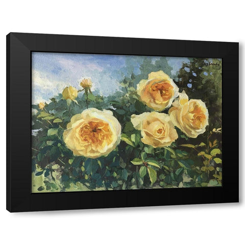 Garden Rose III Black Modern Wood Framed Art Print by Strube, Ling