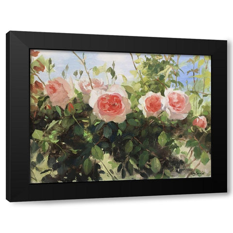 Garden Rose IV Black Modern Wood Framed Art Print by Strube, Ling