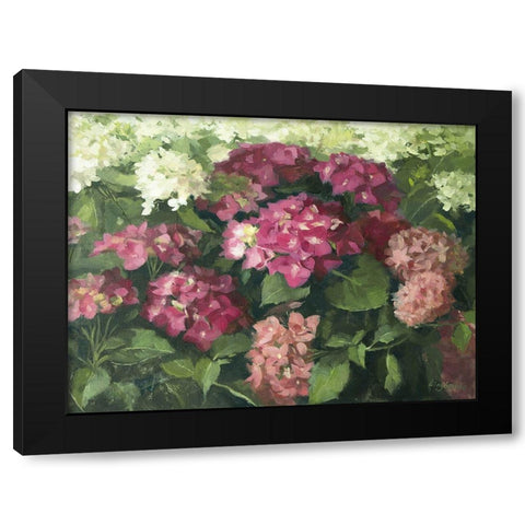 German Hydrangeas Black Modern Wood Framed Art Print by Strube, Ling