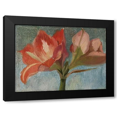 Pink Amarylis Black Modern Wood Framed Art Print by Strube, Ling