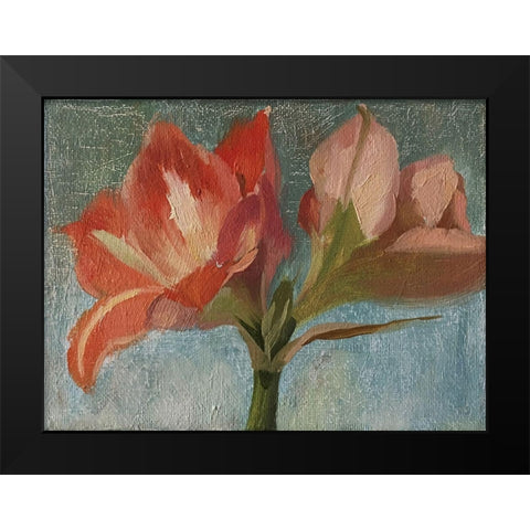 Pink Amarylis Black Modern Wood Framed Art Print by Strube, Ling