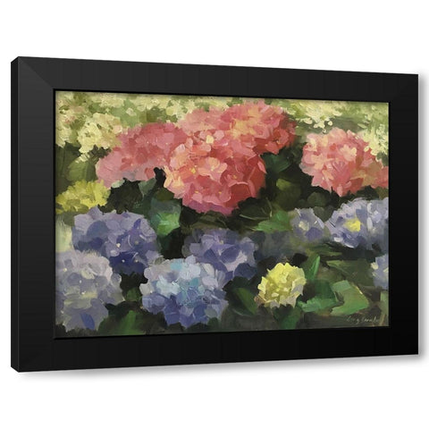 Hydrangeas Black Modern Wood Framed Art Print with Double Matting by Strube, Ling