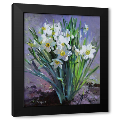 Daffodils Bloomed Black Modern Wood Framed Art Print with Double Matting by Rogozina, Svetlana