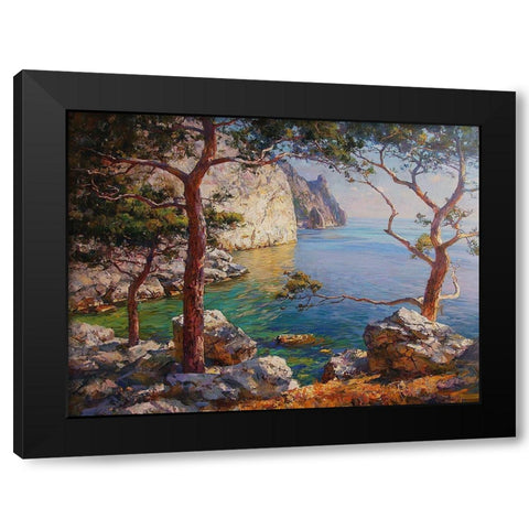 Rocky Coast I Black Modern Wood Framed Art Print with Double Matting by Sviridov, Sergei