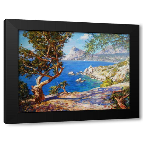 Rocky Coast II Black Modern Wood Framed Art Print with Double Matting by Sviridov, Sergei