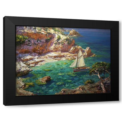 Rocky Coast XVI Black Modern Wood Framed Art Print by Sviridov, Sergei