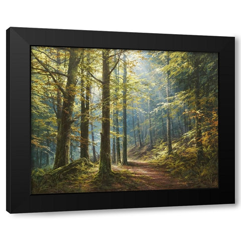 A Walk in the Morning Forest Black Modern Wood Framed Art Print by Yushkevich, Viktor