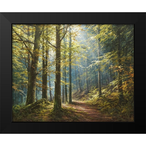 A Walk in the Morning Forest Black Modern Wood Framed Art Print by Yushkevich, Viktor