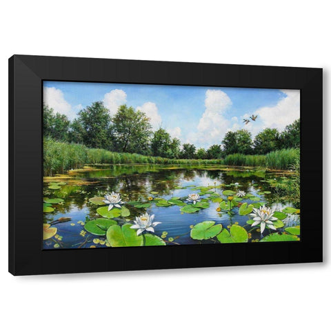 Watterlillies on River Dnepr Black Modern Wood Framed Art Print with Double Matting by Cernov, Ivan