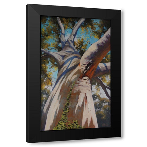 Gum Tree Portrait Black Modern Wood Framed Art Print with Double Matting by Gercken, Graham