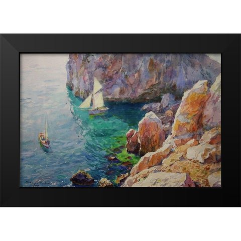 Rocky Coast IX Black Modern Wood Framed Art Print by Sviridov, Sergei