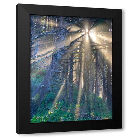 Hobbit Trail I Black Modern Wood Framed Art Print by Knoble