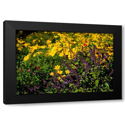 Wildflowers I Black Modern Wood Framed Art Print by Knoble