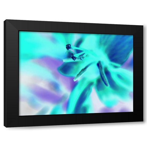 Turquoise Petals Black Modern Wood Framed Art Print by Grayscale
