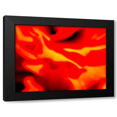 Red Petal I Black Modern Wood Framed Art Print with Double Matting by Grayscale