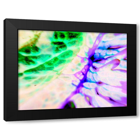 Biologic I Black Modern Wood Framed Art Print by Grayscale