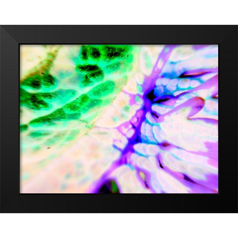 Biologic I Black Modern Wood Framed Art Print by Grayscale