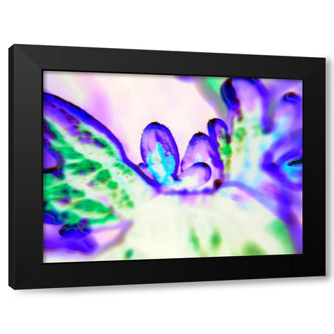 Biologic II Black Modern Wood Framed Art Print with Double Matting by Grayscale