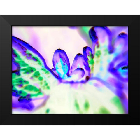 Biologic II Black Modern Wood Framed Art Print by Grayscale