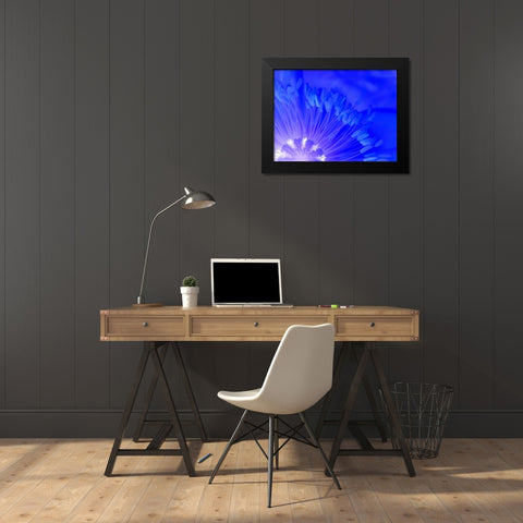 Natural Reactor I Black Modern Wood Framed Art Print by Grayscale